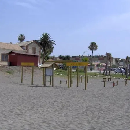 La Kentia